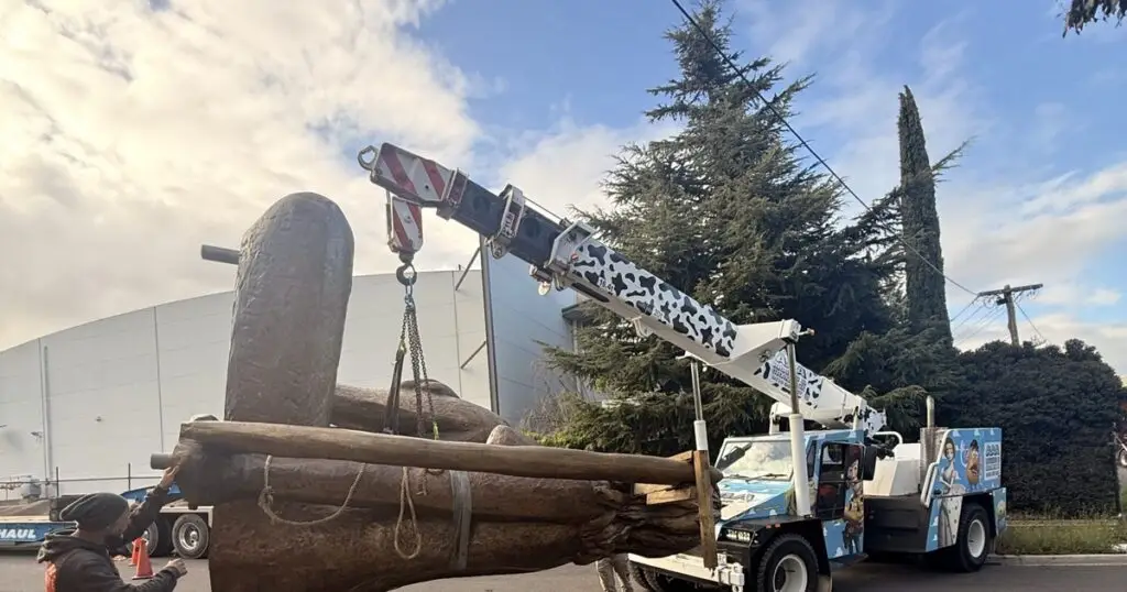 Franna crane on a lift - scaled